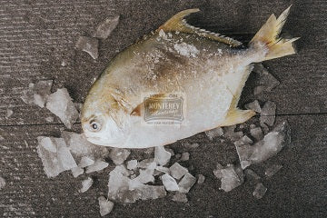 Pompano Fish 1kg